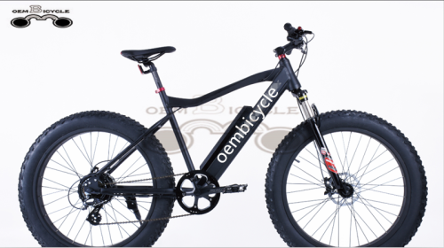 EBIKE COMPANY VENTE EN GROS 26*4.0 POUCES 750W PLAGE NEIGE GROS PNEU VÉLO ÉLECTRIQUE