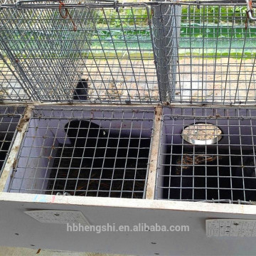 Welded wire mesh cage/mink cage/mink farm