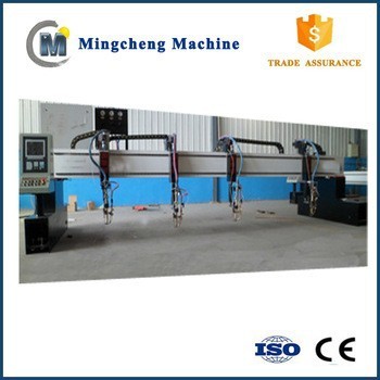 stainless automatic steel fruit Slicing Machine
