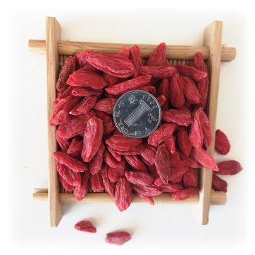 Factory Price Red Lycium