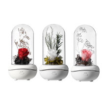 Flower aromatherapy Scent Diffuser for home