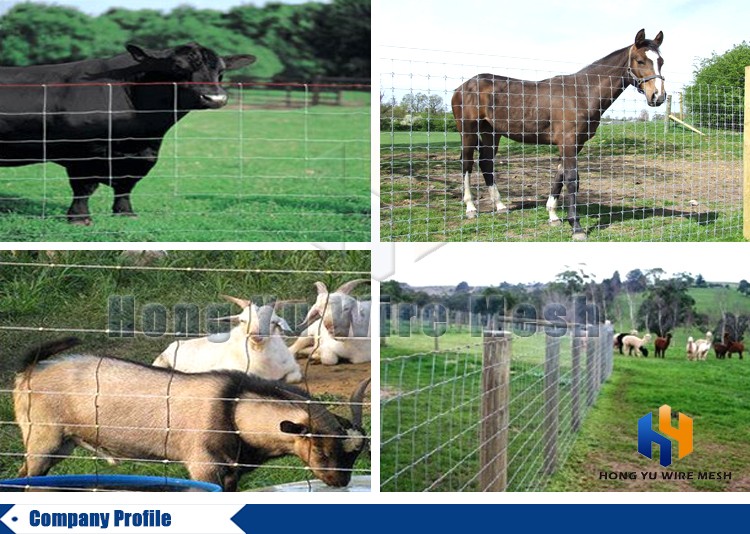 wire mesh sheep and goat farming cheap farm fence