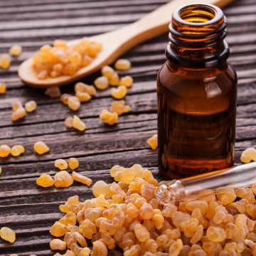 Concentrated Frankincense oil cosmetic raw material