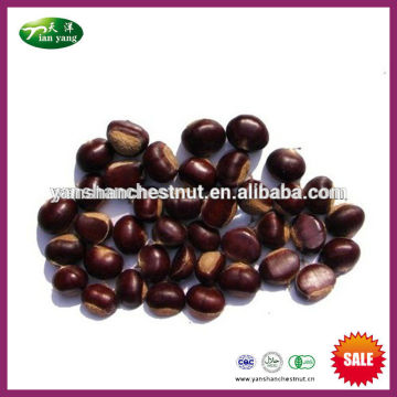 2015 New Crop Organic Yanshan Fresh Raw Chestnut Bulk Nuts