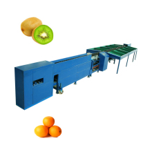 Automatic Electronic Fruit Sorting Machine: Peach Weight Sorter