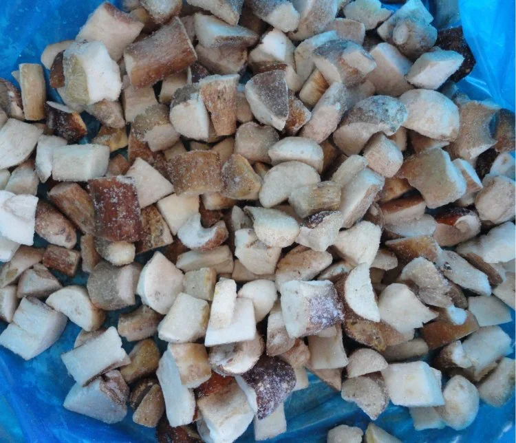 IQF Frozen Boletus Edulis Porcini Whole Cut Cubes From China