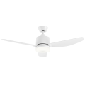 42 inch LED light ceiling fan