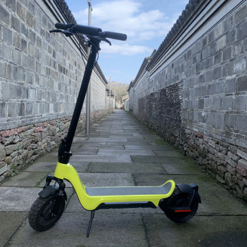 48V electric scooter 10 inch