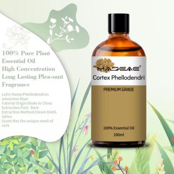 Pure Extract Oil Phellodendron Amurense Bark and Cortex Phellodendri Oil