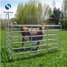 Galvanized Metal Pipe Fence for Cattle Ranch Gates