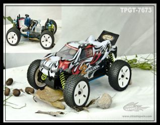1/16th scale GP truggy