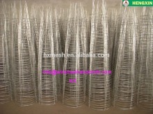 tomato plant supports