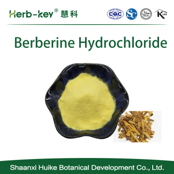 Phellodendron extract Berberine hydrochloride 97%