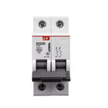 LS BK63N Miniature Circuit Breaker MCB 2A-60A 2P