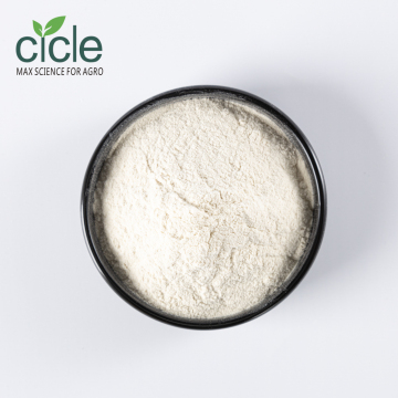 Chitosan Powder (high-density) DAC 90%min