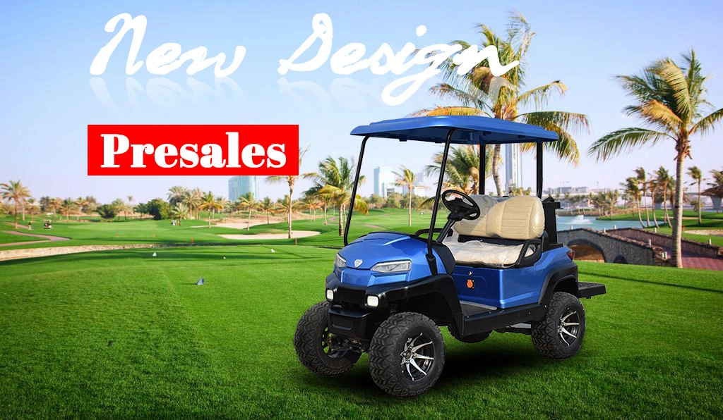 2021 New Design Z Series 2 Seater Lifted Electric Golf Car for Sale