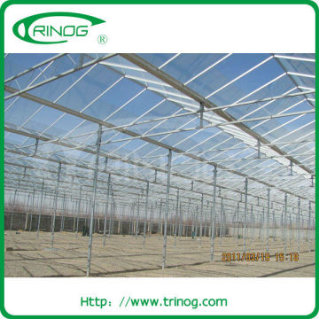 Sun panel for greenhouse