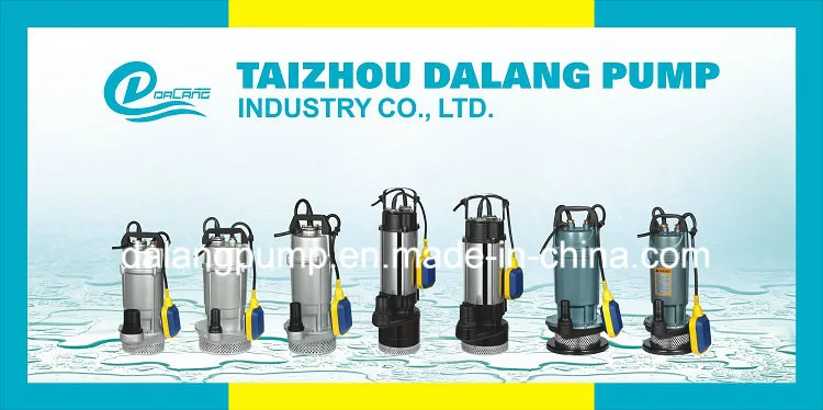 Qdx1.5-32-0.75f Electric Submersible Water Pump for Iran Market