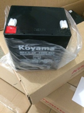 Cheap Price 4.5ah 12V UPS Battery Lead Acid Power Tools Battery