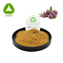 Trifolium Pratensel Extract Powder 10:1