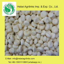 Frozen IQF Water Chestnut Kernel