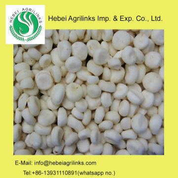 Frozen IQF Water Chestnut Kernel