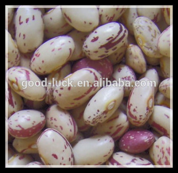 Light Speckled Kidney Beans, Wax Beans