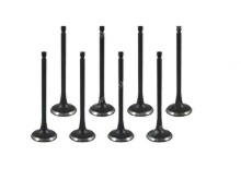 Intake Valve Set - Engine Replacement Valves