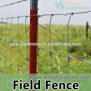 high quality galvanized cattle wire fence design(factory)