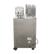 Fruit pop making machine
