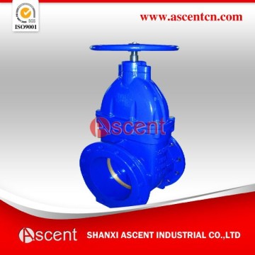 Worm Gear Gate Valve