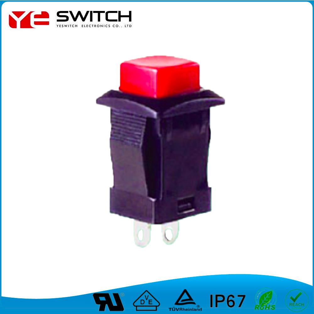 Automotive Pushbutton Switches