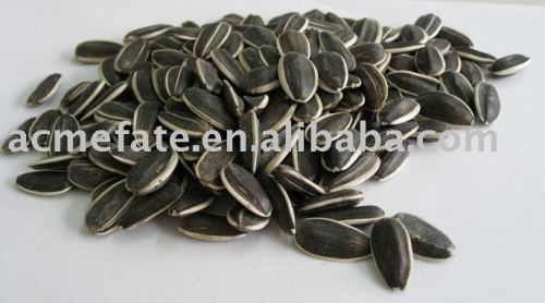 chinese delicious taste sunflower seeds
