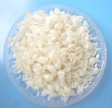 Special Shell Shaped Excellent Quality Rice Pasta