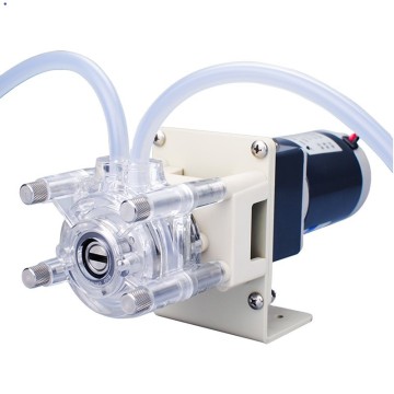 액체 이동을 위한 소형 Dc 12v 연동 펌프