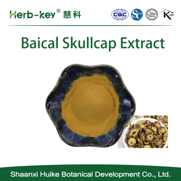 Baical Skullcap Extract, Baicalin Powder