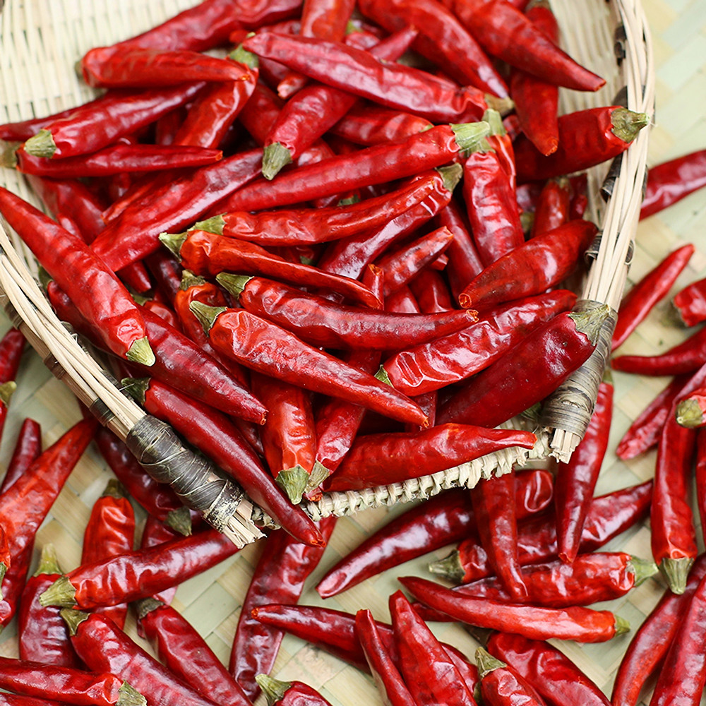 سعر الفلفل الدخن سيتشوان Sichuan Millet Pepper Price