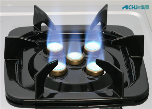 Double Ring and Turbo Burner Gas Stove