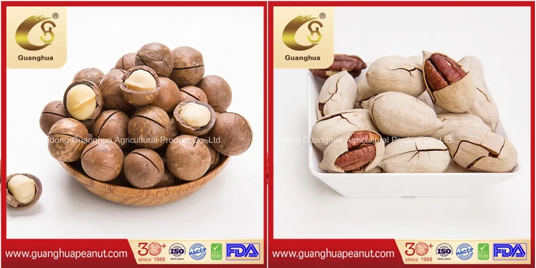 New Crop Delicious Roasted and Salted Cashew Good Quality with Skin