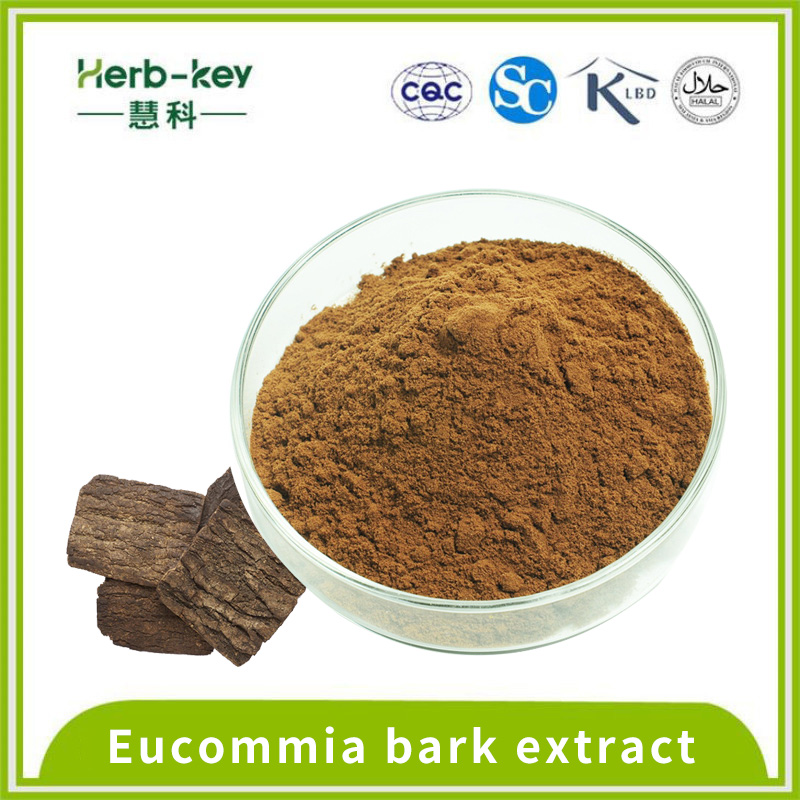 10% chlorogenic acid ulmoides bark extract powder