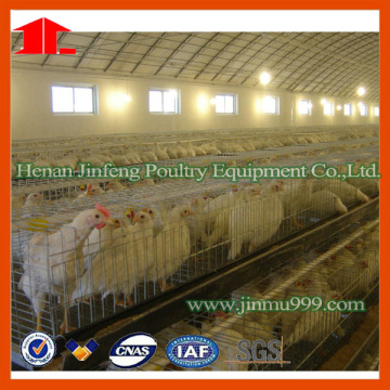 Breeder Cage in Poultry Farm