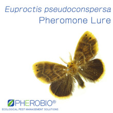 Pheromone Lure for Euproctis pseudoconspersa (Tea Tussock Moth), Pheromone Bait & Pheromone Trap for Euproctis pseudoconspersa