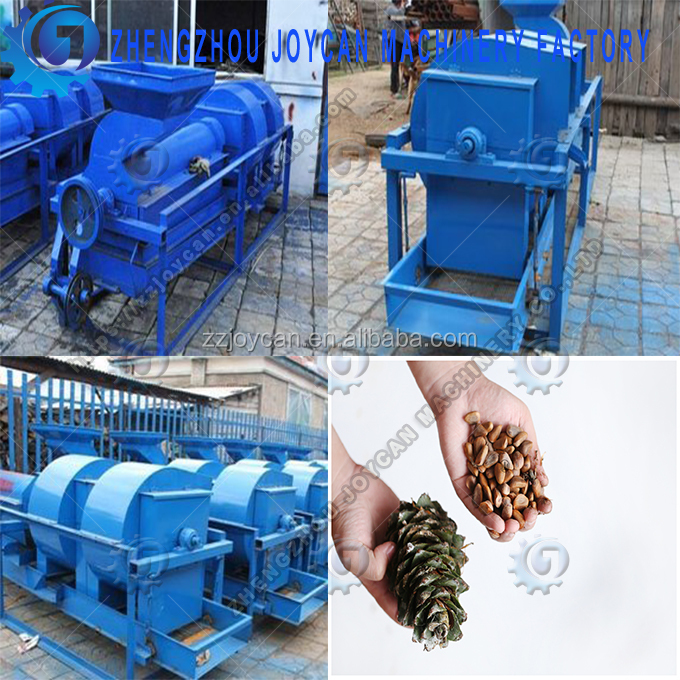 Lebanese pine nuts shelling machine Acorn cracker machine Pine cone sheller and dust removing machine