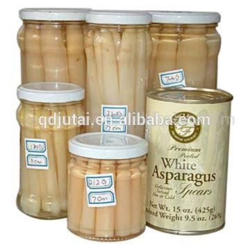 wholesale fresh canned white asparagus with many size