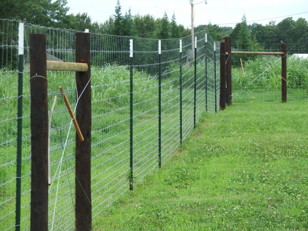 factory supply deer fence for sale