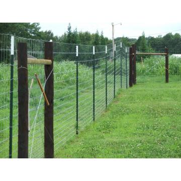 factory supply deer fence for sale