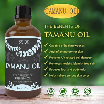 Óleo de tamanu orgânico natural no atacado para produtos cosméticos