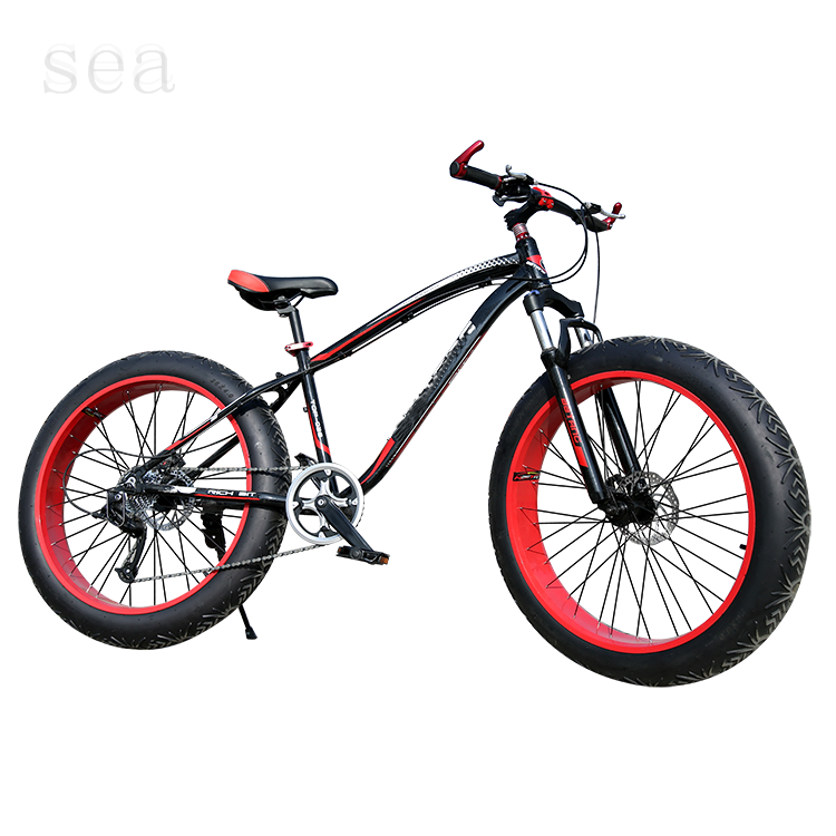 Factory Double Disc Bikes 26 Inch Beach Bike Fat Tire /Snow Mountain Bicycle/good quality snow bike