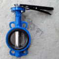 Silicone rubber soft seal butterfly valve