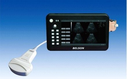 Palm Ultrasound Scanner Handheld Ultrasonic / Handheld Ultrasound / Belson 3000m+